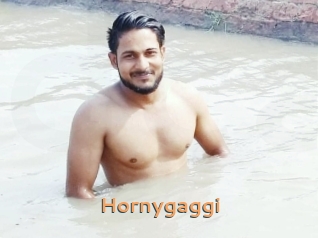 Hornygaggi