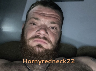 Hornyredneck22