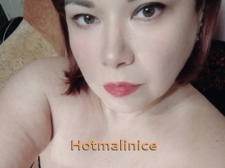 Hotmalinice