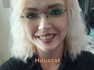 houscat Du Cul A Gogo