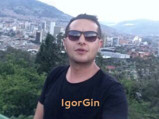 IgorGin