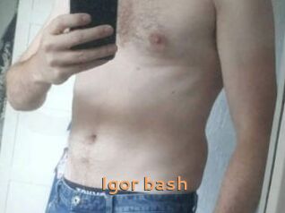 Igor_bash