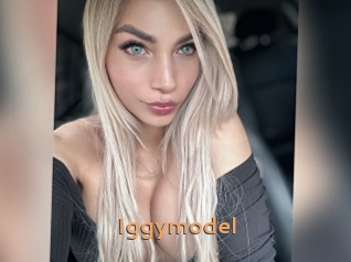 Iggymodel