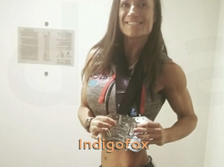 Indigofox