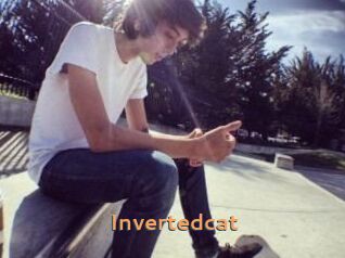 Invertedcat