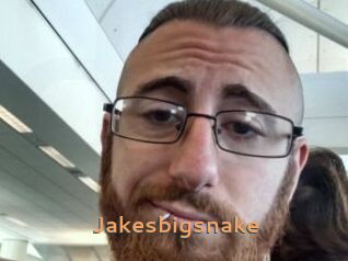 Jakesbigsnake