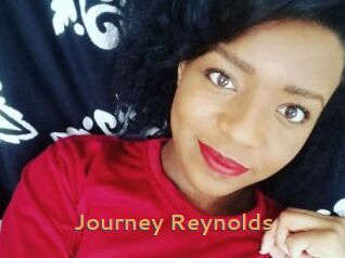 Journey_Reynolds Du Cul A Gogo