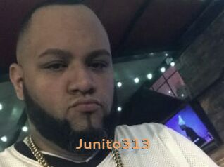 Junito313