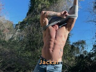 Jackal