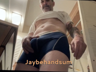 jaybehandsum Du Cul A Gogo