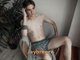 Jaybreeze