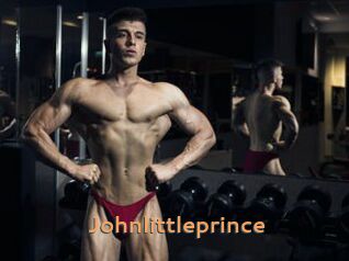 Johnlittleprince