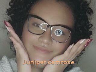Juniper_camrose