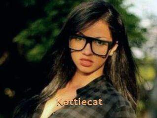 Kattiecat