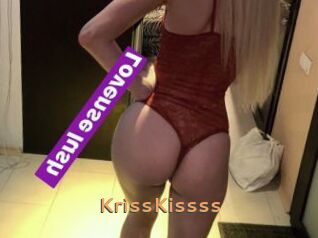 KrissKissss