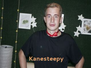 Kanesteepy