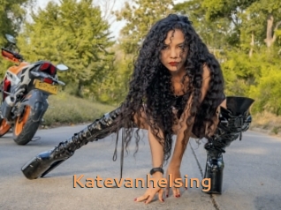 katevanhelsing Du Cul A Gogo