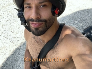 Keanumartinez