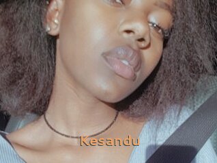 Kesandu