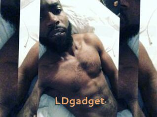 LDgadget