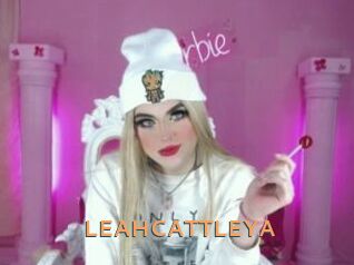 LEAHCATTLEYA Du Cul A Gogo