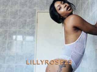 LILLYROSE23 Du Cul A Gogo