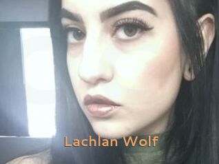 Lachlan_Wolf