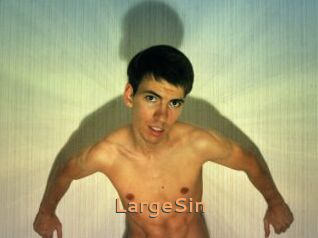LargeSin