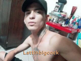 Lattinbigcock Du Cul A Gogo
