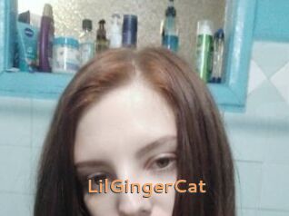 LilGingerCat