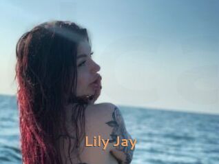 Lily_Jay