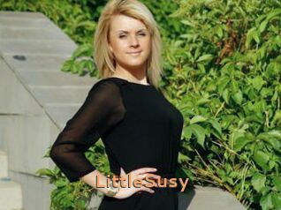 LittleSusy