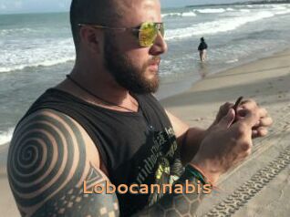 Lobocannabis