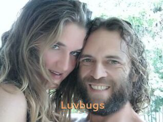 Luvbugs