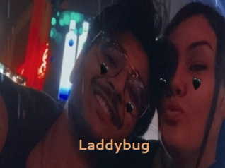 Laddybug