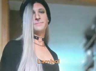 Lamboi