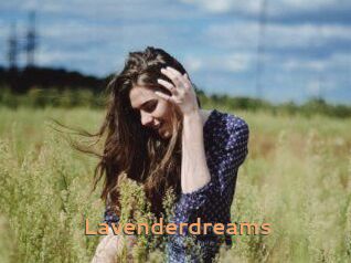 Lavenderdreams