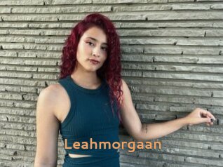 Leahmorgaan