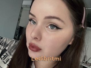 Ledibritmi