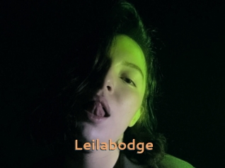 Leilabodge