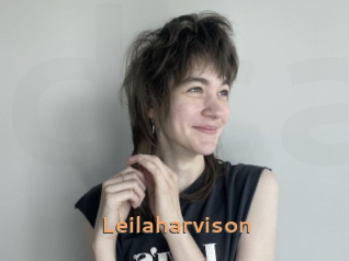 Leilaharvison