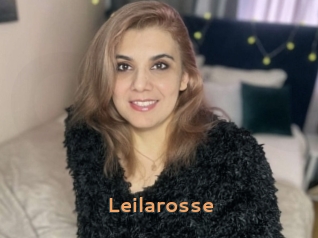 Leilarosse