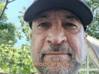 Leoncarpita
