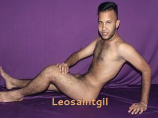 Leosaintgil