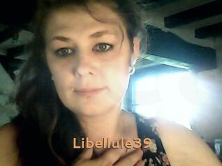 Libellule39