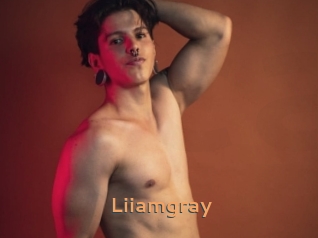 liiamgray Du Cul A Gogo