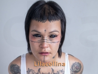 Lilacollina