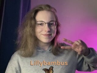 Lillybambus