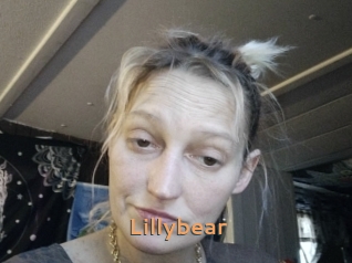 lillybear Du Cul A Gogo