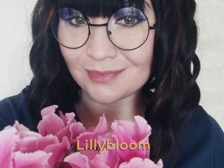 Lillybloom